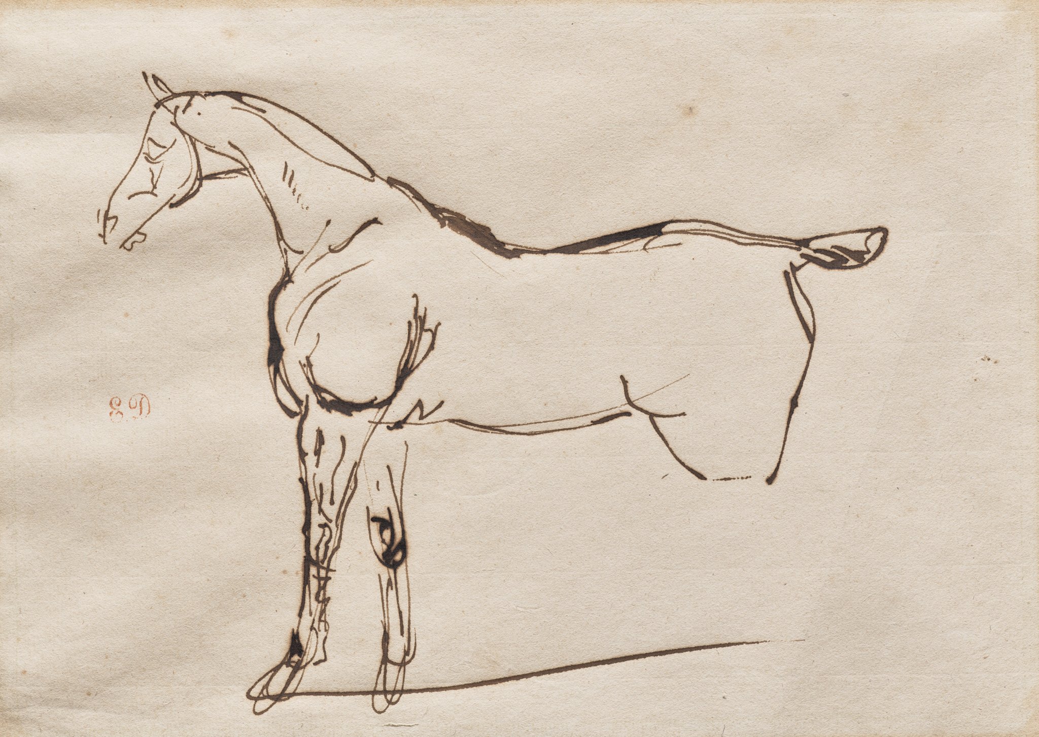 Study of a Horse